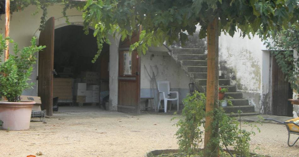 Martine Thoumy@Martine thoumy