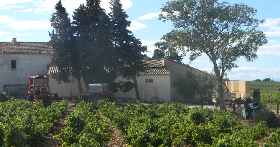 Martine Thoumy@Martine thoumy