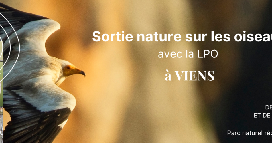 Sortie nature sur les oiseaux avec la LPO@© PNRL