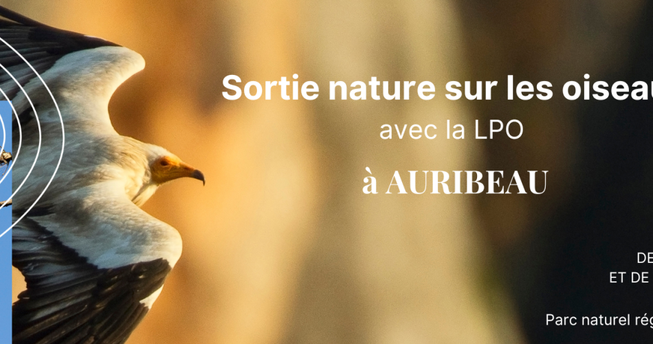 Sortie nature sur les oiseaux avec la LPO@© PNRL