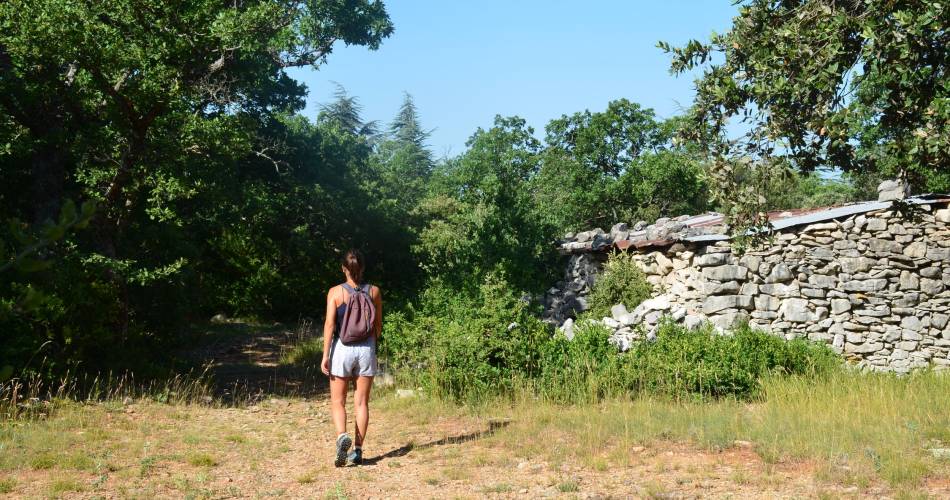 FLASSAN - La combe de Canaud@©C. Giboin - PNRMV