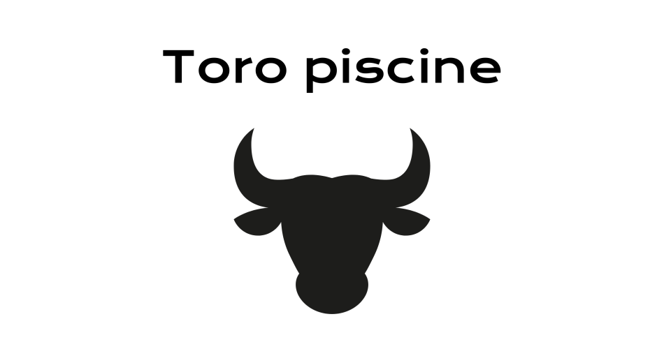 Toro piscine@PDV