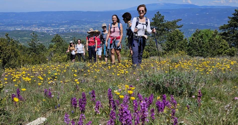 Corinne Guide Luberon@Corinne Mangeot