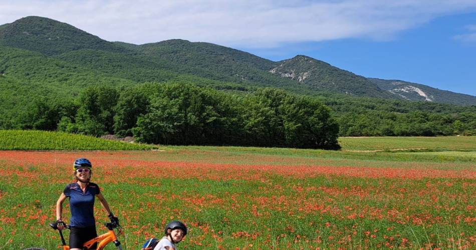 Corinne Guide Luberon@Corinne Mangeot