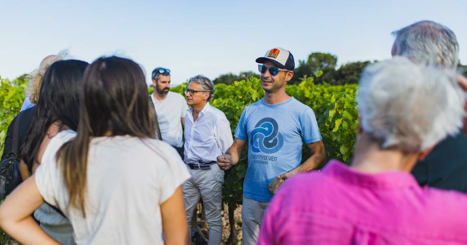 Sunsets Vignerons au Domaine des Garriguettes@Isle sur la Sorgue Tourisme - Julien Abellan