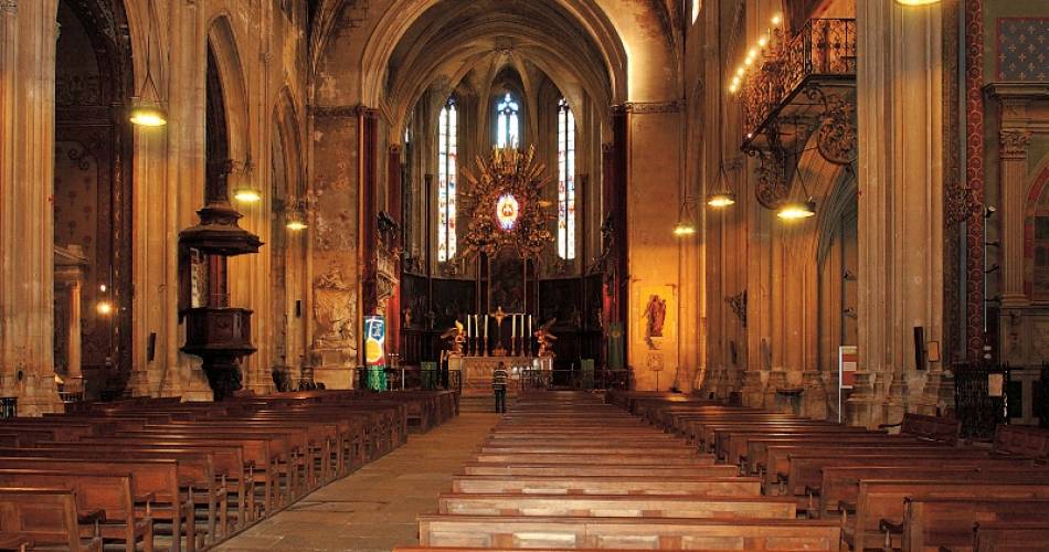 Carpentras, visite guidée la cathédrale St Siffrein et son quartier@P.Menard