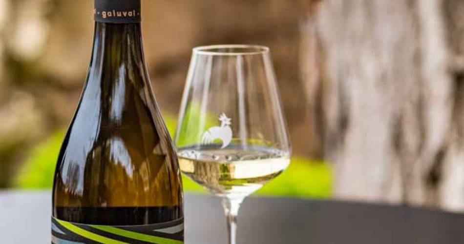 Wine and food pairing evening - Domaine Galuval@Domaine Galuval