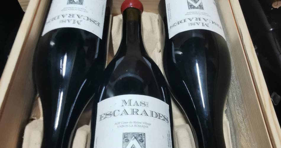 Visite du vignoble et de la cave - Mas des Escarades@Mas des Escarades