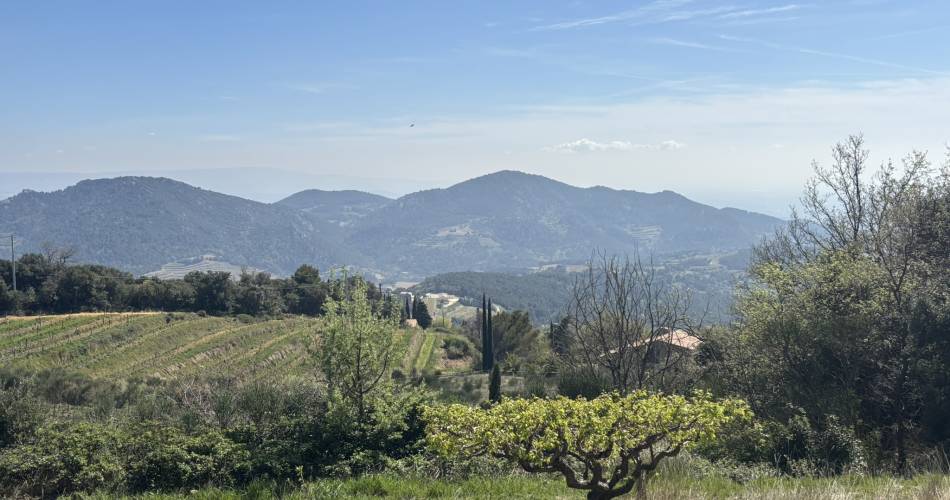 Wijnbouwerspad - Domaine de Saint Amant@DOMAINE SAINT AMANT