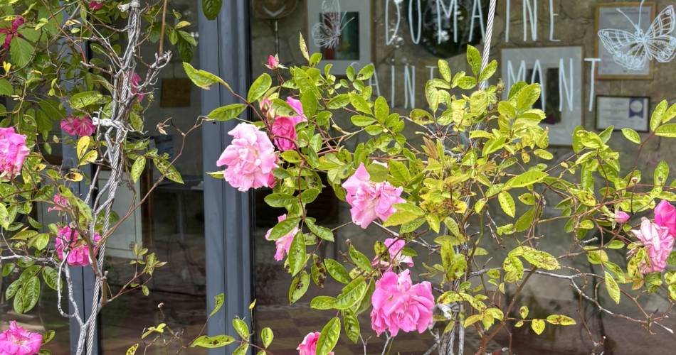 Apéritif au Domaine Saint Amant@DOMAINE SAINT AMANT