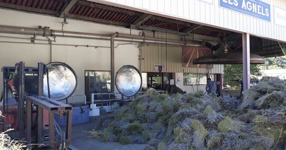 Les Agnels - Lavender and aromatic plant distillery@©fabiosalvaterra