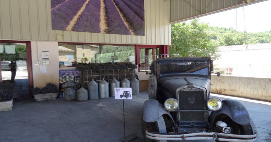 Les Agnels - Lavender and aromatic plant distillery@OTI Pays d'Apt Luberon