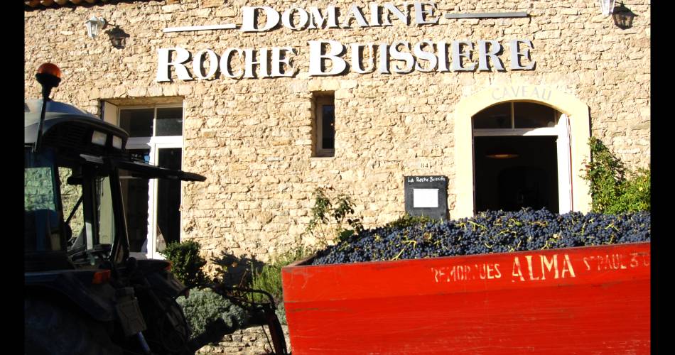 Visite de la cave - Domaine La Roche Buissière@Domaine La Roche Buissière