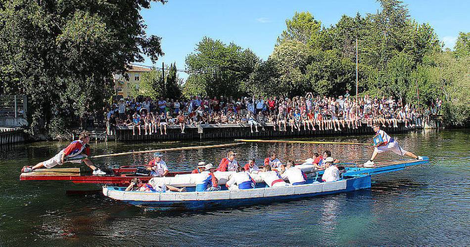 Tournois de joutes@mairie Isle sur Sorgue