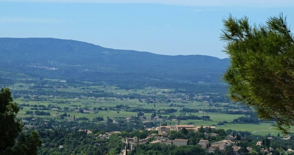 Le Belvédère - Restaurant et Buvette@LERICHE