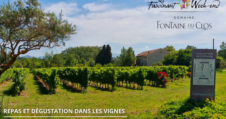 Repas et dégustation dans les vignes au domaine Fontaine du Clos@Fontaine du Clos