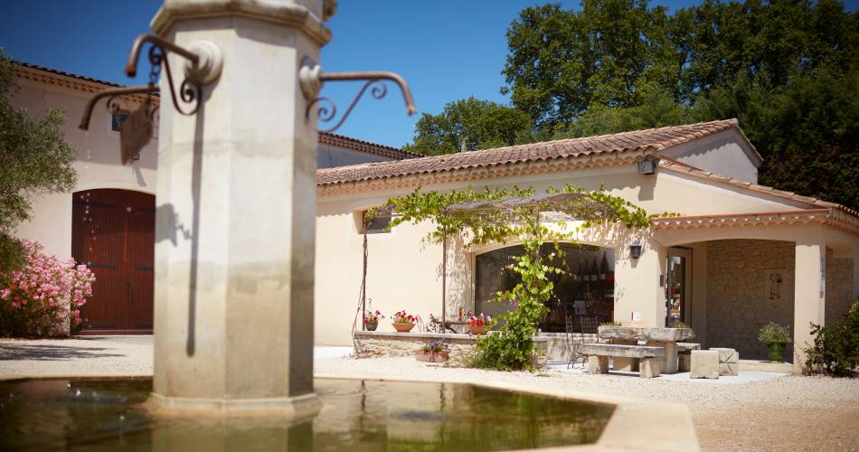 Repas et dégustation dans les vignes au domaine Fontaine du Clos@Fontaine du Clos