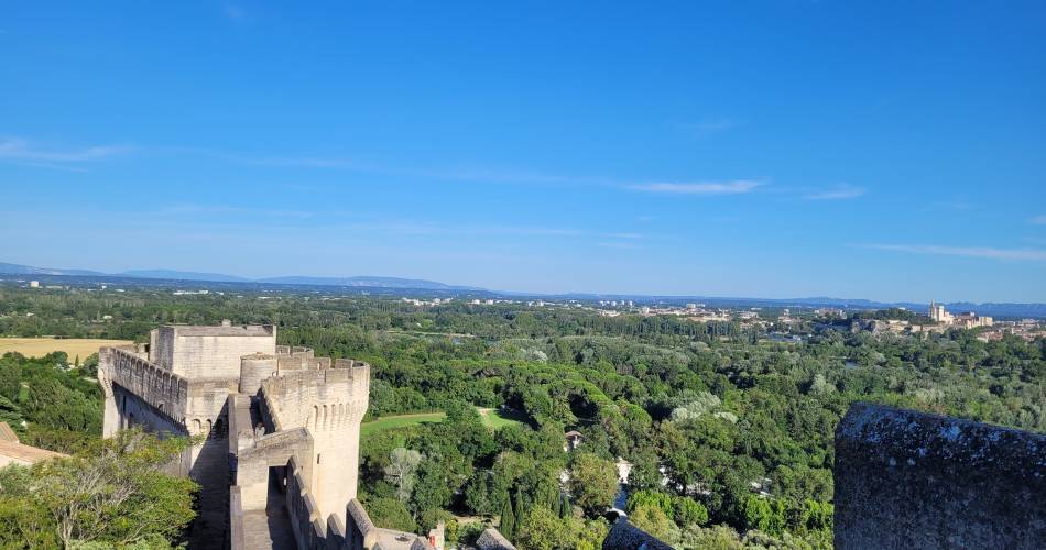 Conférence : un Fort, un fleuve : le Rhône, dans le cadre du Festival 