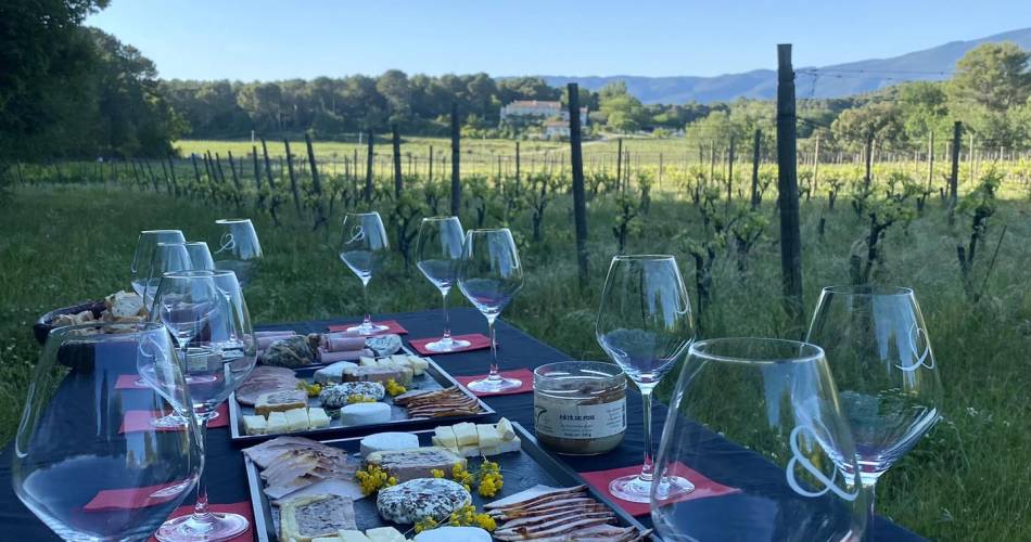 Apéro vigneron au Domaine Les Chancel@Jessica Arangio-Febbo.