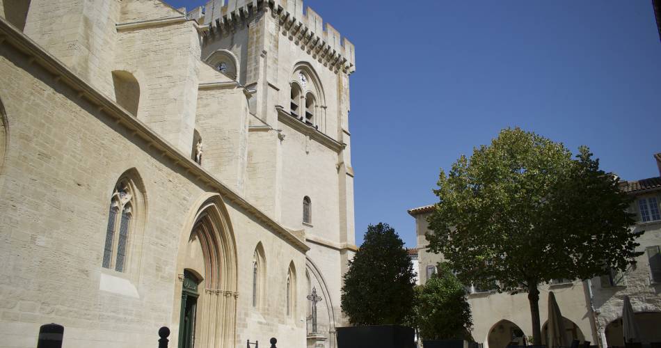 Découverte patrimoniale : de la chapelle de l’Hospice aux Pénitents Gris en passant par la Collégiale@mairie de Villeneuve lez Avignon