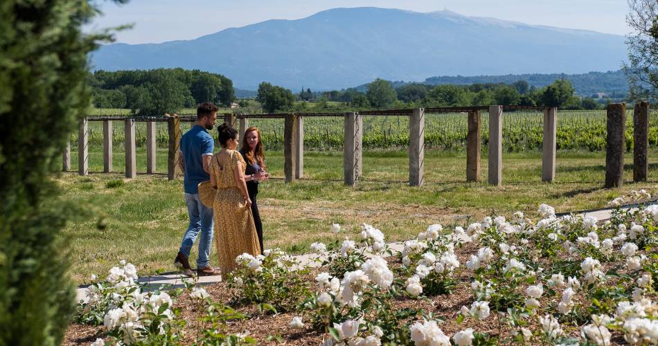 Balade entre histoire et terroir au Château de la Croix des Pins@La Croix des Pins