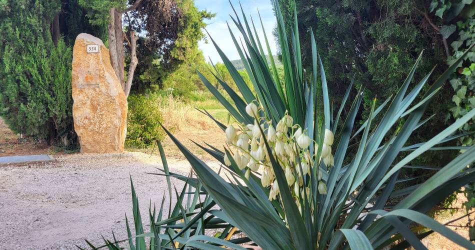 Bastide La Mandarine Bleu Lavande@M RAMBAUD