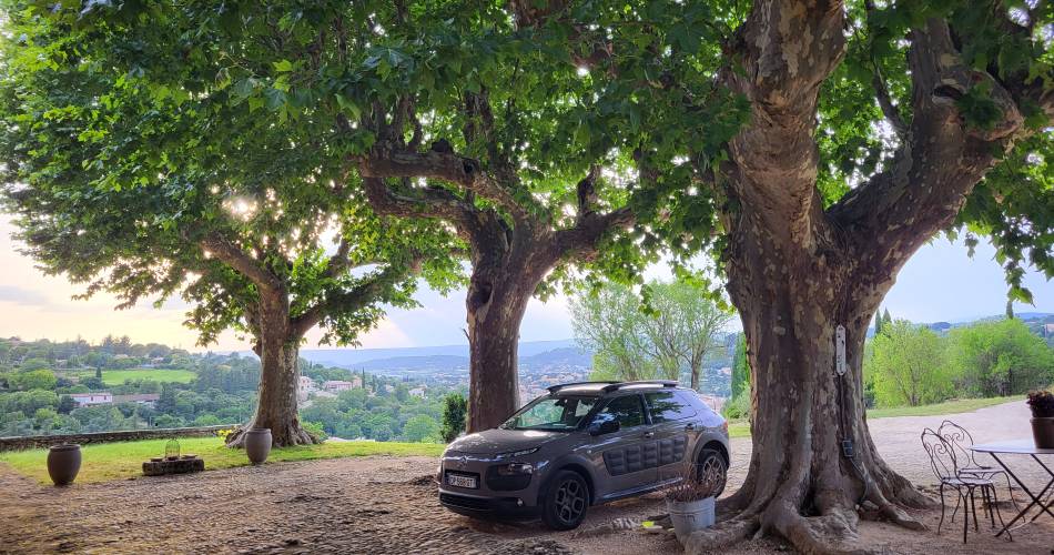 Bastide La Mandarine Bleu Lavande@M RAMBAUD