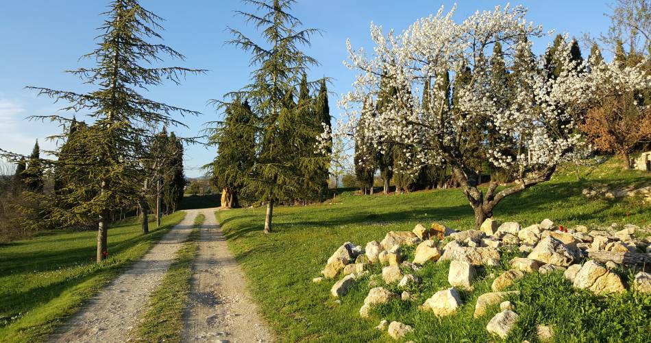 Bastide La Mandarine Bleu Lavande@M RAMBAUD