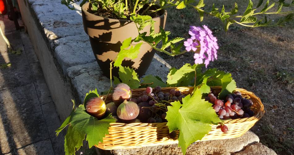 Bastide La Mandarine Bleu Lavande@M RAMBAUD