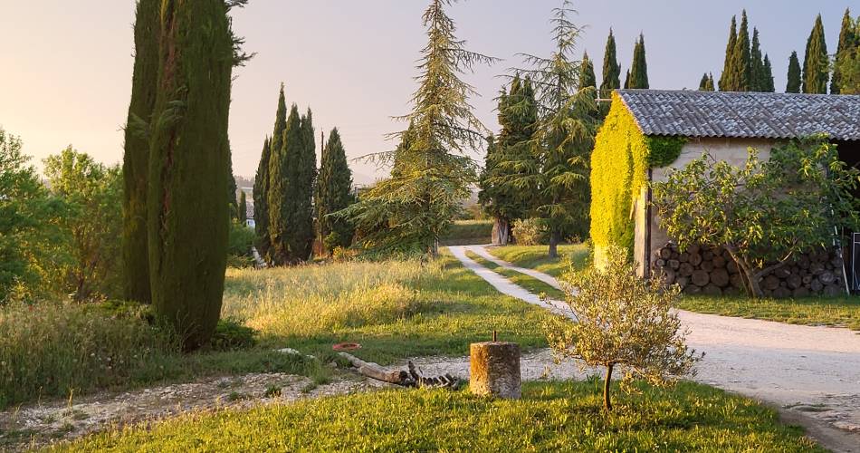 Bastide La Mandarine Atelier Soleil@M RAMBAUD