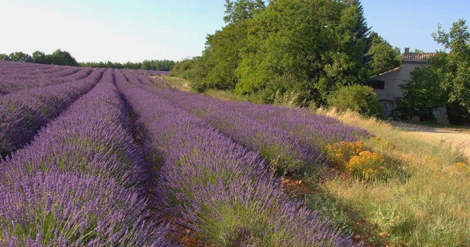 La Fénière@De Bruin H.