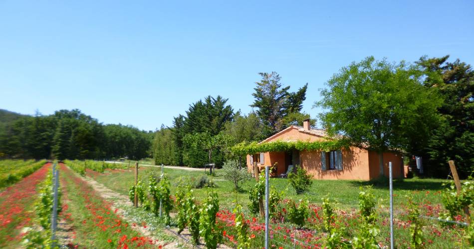 Le Cabanon - Domaine des Finets@© Domaine les finets - Marie-Paul