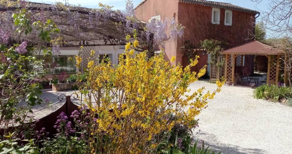 Les Passiflores@Les Passiflores