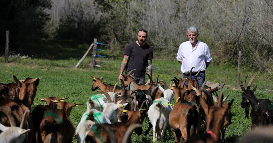 Festival Ventoux Saveurs : Visite de la ferme et dégustation de recettes de fromage de chèvre@Trésor des chèvres