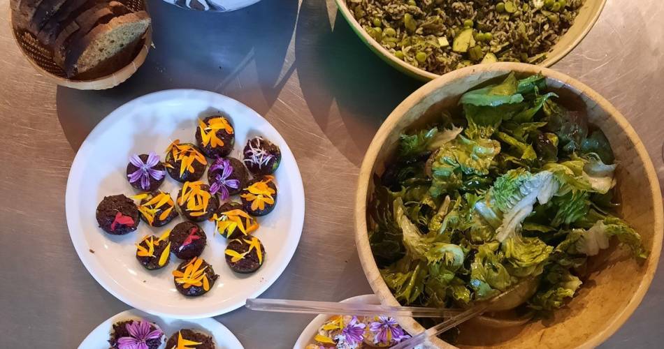 Festival Ventoux Saveurs -Botanische wandeling met de avonturiers van de smaak@Aventurières du Goût