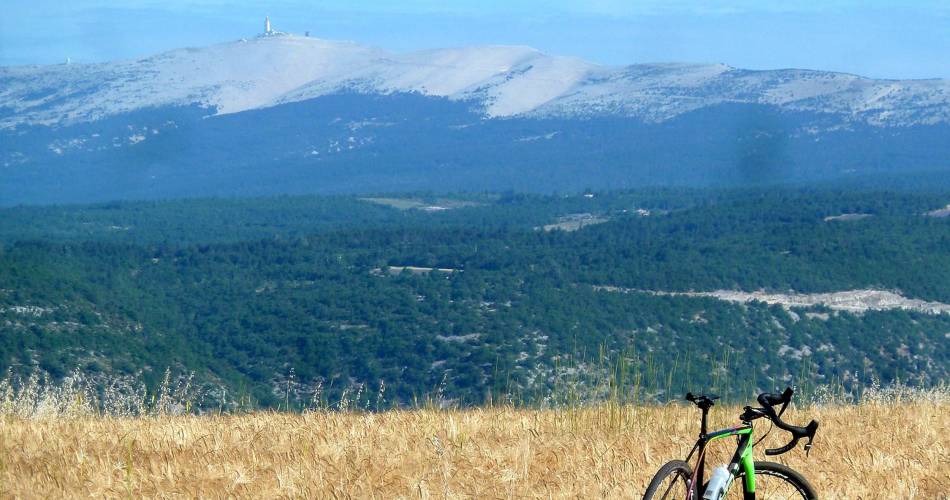 SAINT-SATURNIN-LÈS-APT - À l'assaut des Monts-de-Vaucluse à vélo@©DR-Bike café