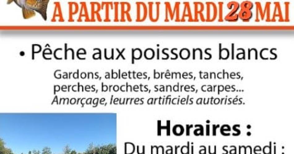 Pêche au lac des Gravières : poissons blancs et carnassiers@Amicale des Pêcheurs des Gravières