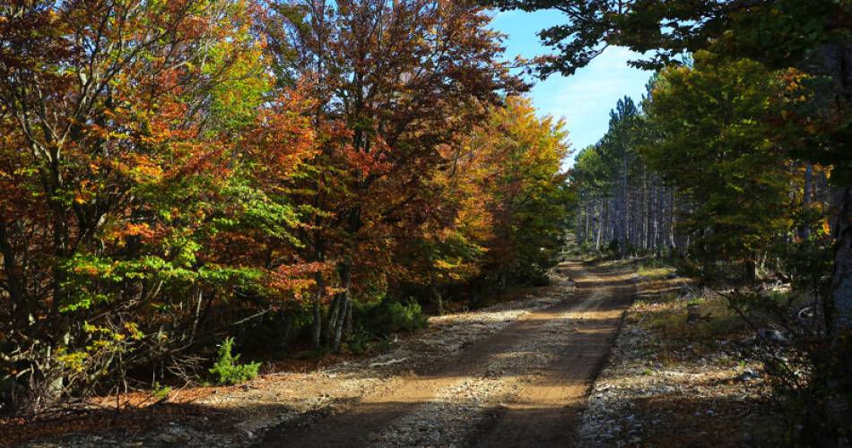 Gravel 34 - La cabane du Mouflon@Alain Hocquel