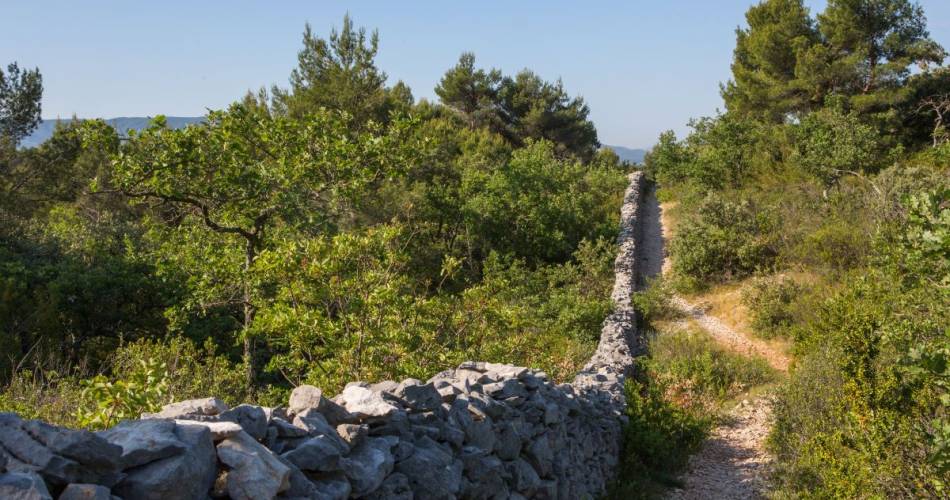 Randonnée historique :  sur les traces du Mur de la Peste@©P.Giraud