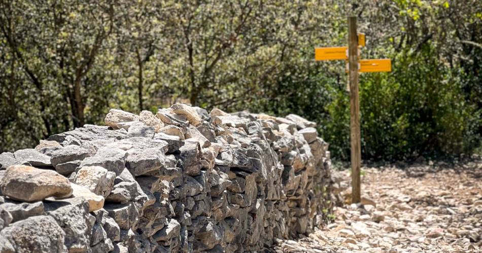 Randonnée historique :  sur les traces du Mur de la Peste@©Destination Luberon