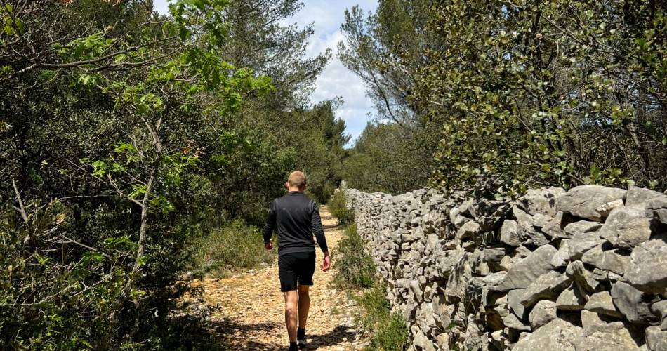 Randonnée historique :  sur les traces du Mur de la Peste@©Destination Luberon