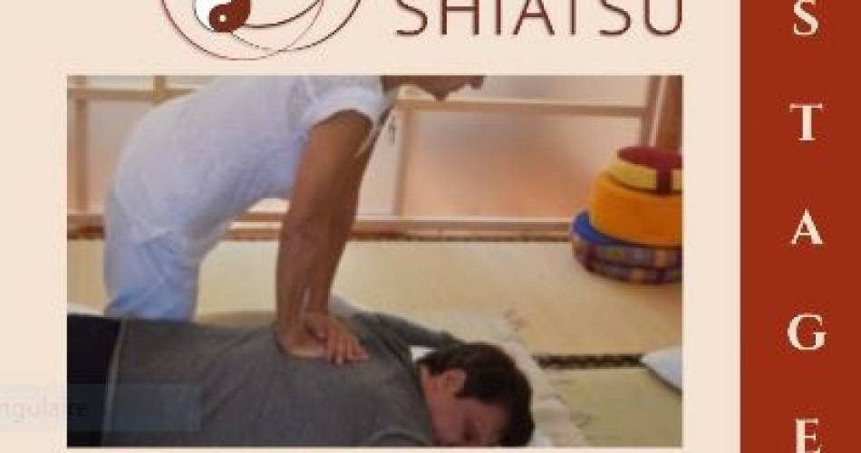 Portes Ouvertes Ecole de Shiatsu & Do In@Ecole de Shiatsu & Do In