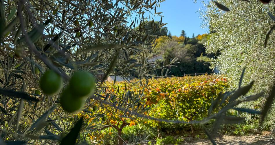 Festival de la Sorgue - Rendez-vous d'Automne@Isle sur la Sorgue Tourisme