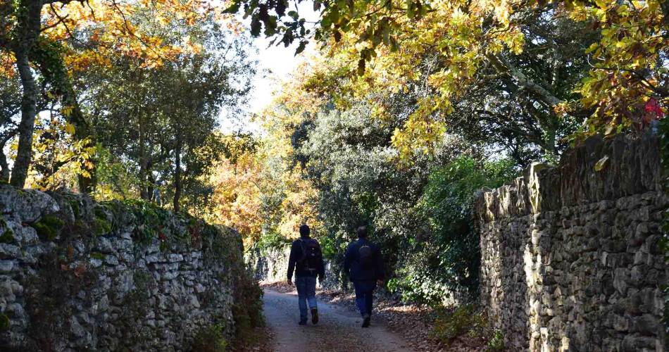 Rando gourmande Au pays de la truffe - avec Destination Luberon@©Destination Luberon