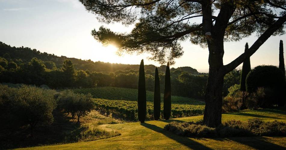 Rando gourmande Autour de la vigne - avec Destination Luberon@Château La Verrerie