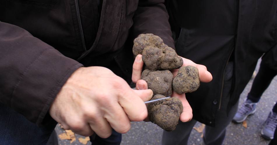 Marché aux truffes et produits du terroir@M Pellegrin