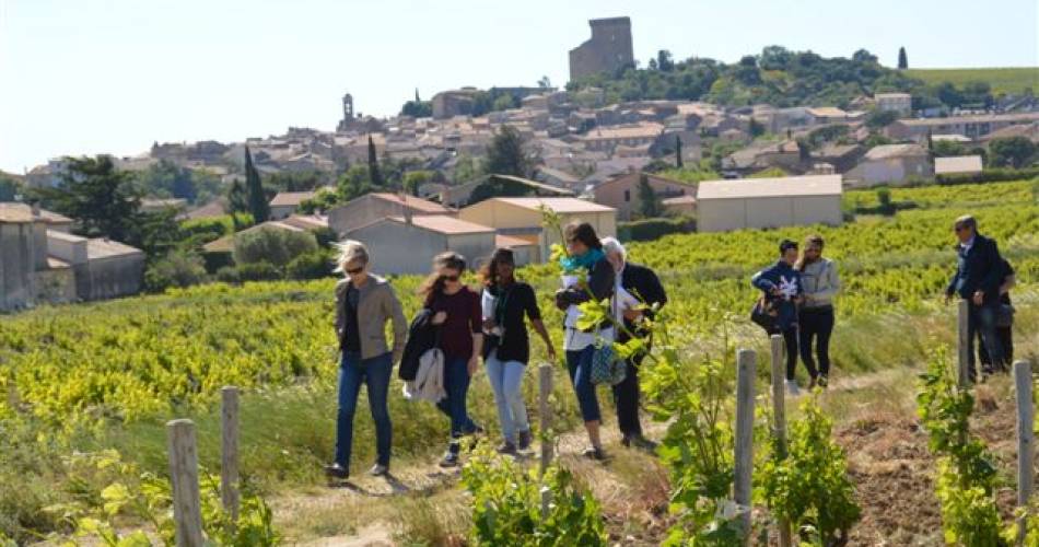 Escapade au coeur du vignoble de Châteauneuf-du-Pape@©Sentier SRG