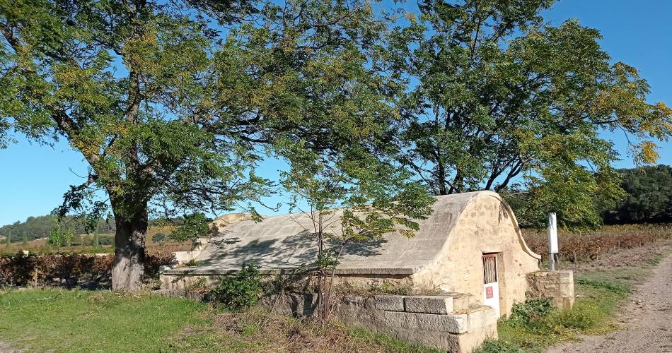 Uitstap naar het hart van de wijngaarden van Châteauneuf-du-Pape@©srg de Chateauneuf du Pape