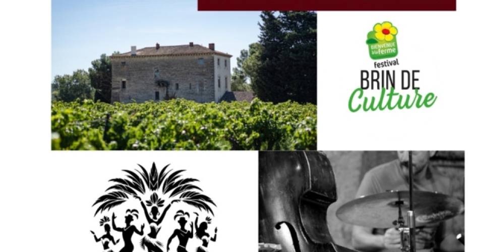 Concert de jazz et Ronda de samba@©Chambre d'agriculture de Vaucluse