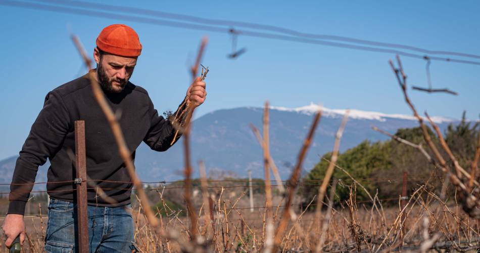 Domaine Félys@Domaine Félys